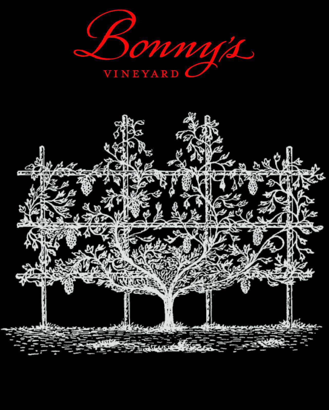 Product Image for 2015 Bonny's Vineyard Cabernet